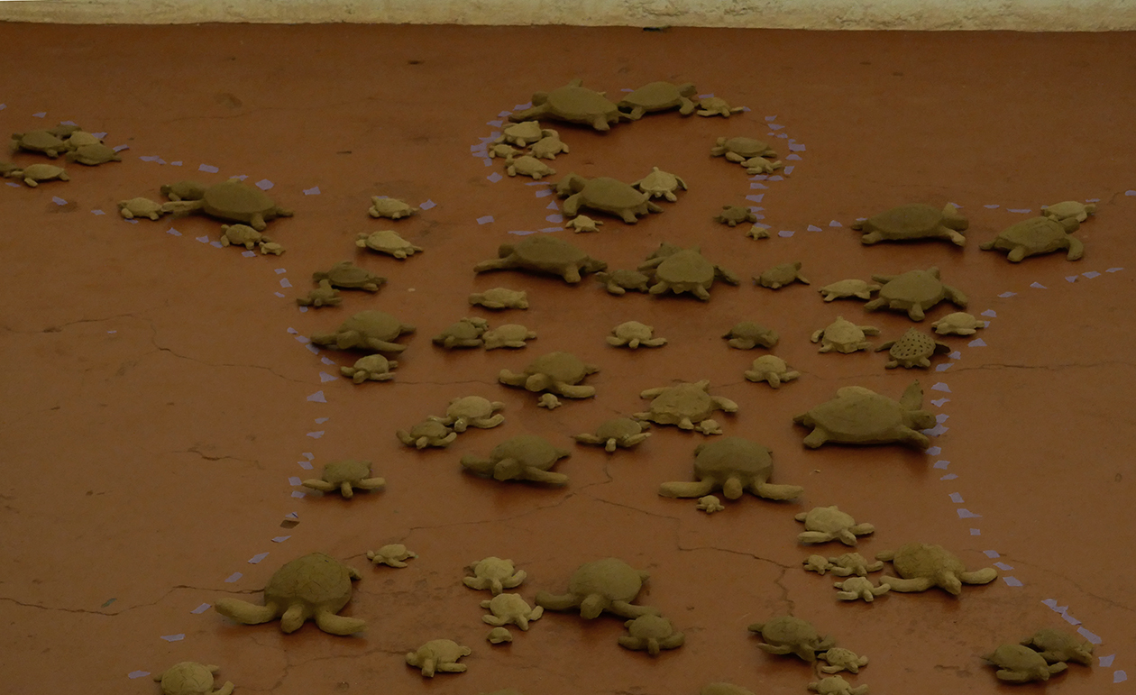 The Vast Project: Turtle installations. September 8-14,2017.